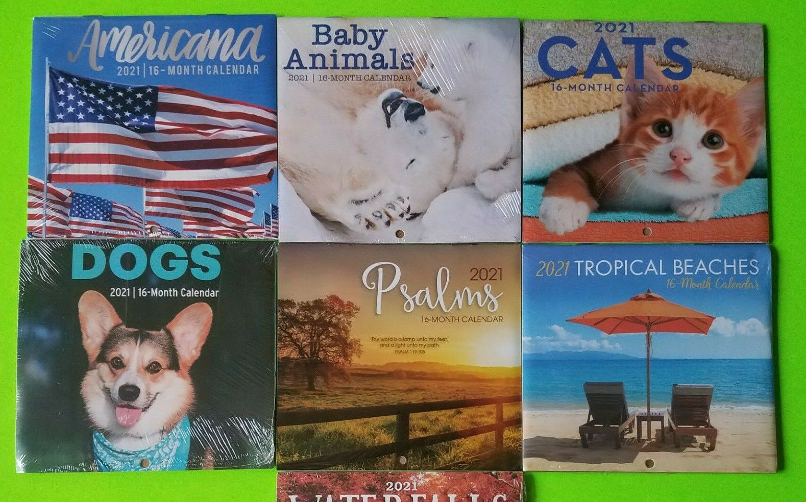 Mini Calendar 2021 Small Desk Wall Hanging Calendar Cat Dog Tropical *selection*